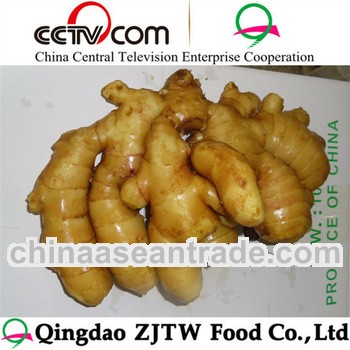 fresh ginger with 300g