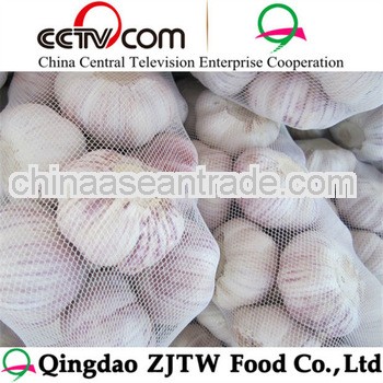 fresh new crop 2011 4.5cm,5cm, 5.5cm 6cm chinese fresh garlic with top quality