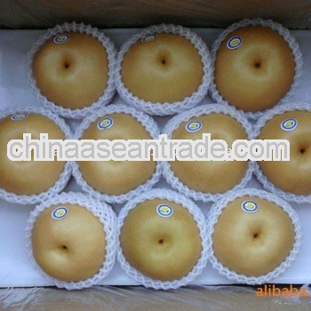 fresh ya/crown/shandong pear seller