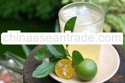 Calamansi Concentrate with Honey
