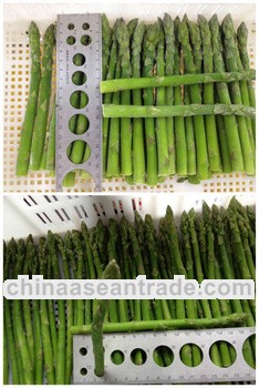 frozen green asparagus spears
