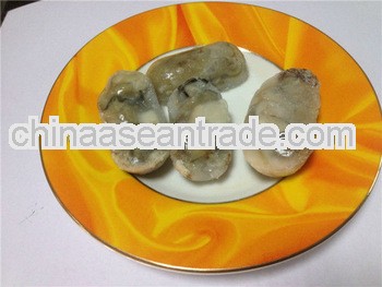 frozen oyster meat seafood best