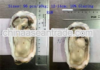 frozen oyster seafood bussiness