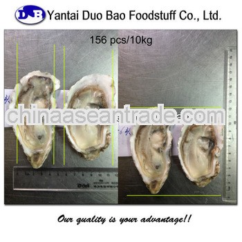 frozen seafood pacific oyster