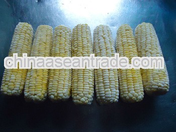 frozen sweet corn for sale