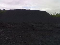 STEAM COAL