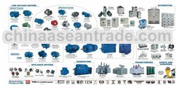 WEG Electric Motors