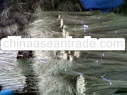 palm ekel broom stick