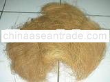 Coconut Fibre
