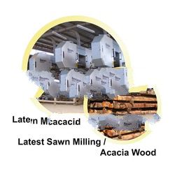 ACACIA MANGIUM WOOD