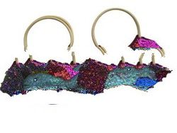 Bag0279 Ladies' Handbags