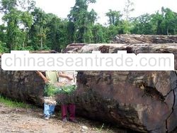 Deposit Of Merbau (Waste Wood) Papua