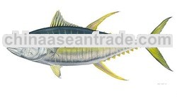 YELLOWFIN TUNA