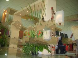 Kalimantan Barat Handicraft