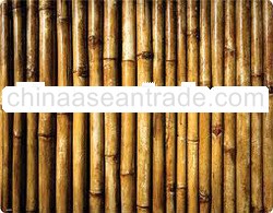 BAMBOO FENCING
