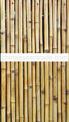 HALF SPLIT FENCING PANELS BAMBOO HSB23