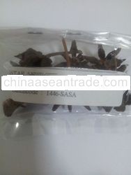 STAR ANISE SEED WIHOUT STEM
