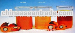 Crud Palm Oil - CPO