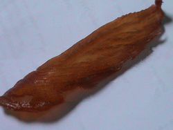 chicken fillet