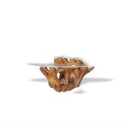 OLD TEAK ROOT FURNITURE OTRF37