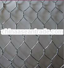 galvanized or pvc coated chicken wire mesh/hexagonal wire netting in dingzhou