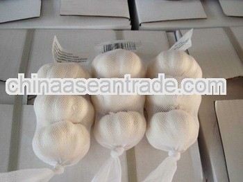 garlic/flakes/granules/powder