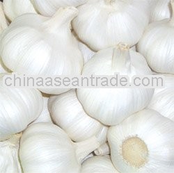garlic price per ton