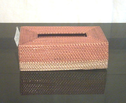 Two tone Rectangular Tissue holder