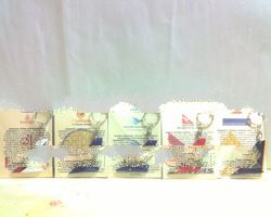 Airlines Tails Key chain