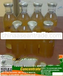 YOUNG COCONUT WATER CONCENTRATE - 100% Natural