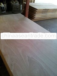 O.P.T , PALM PLYWOOD