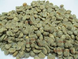 GREEN BEAN COFFEE
