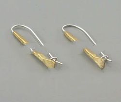Brass Earrings