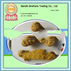 Turmeric Finger nizamabad turmeric finger