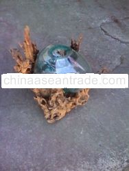 Mini Aquarium Glass Vase on Wood