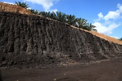 Steam Coal 63-61, 53-51