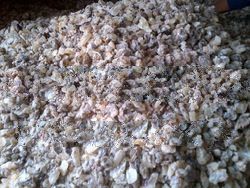 gum copal