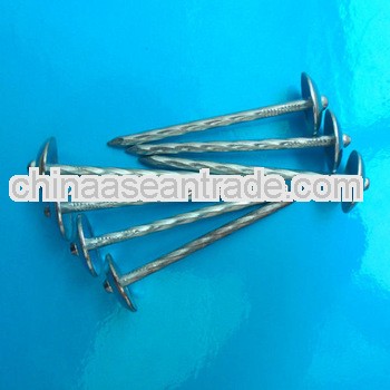 good galvanized roofing nails with Umbrella Head