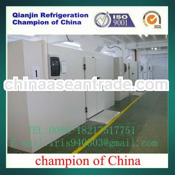 good quality quick freezer room for meat