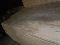 bare core albizia