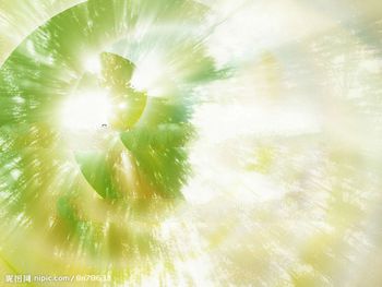 graphic design, photo album beauty