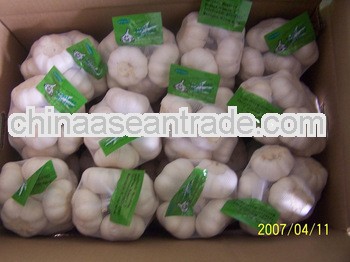 green garlic from china