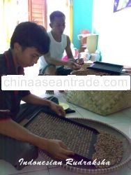 Rudraksha Beads 6mm - 14mm