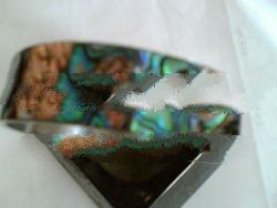 Bangle/bracelet shell (abalone)