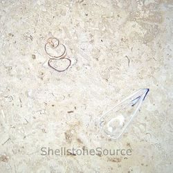 Shellstone Premium Tiles 30cm x 30cm