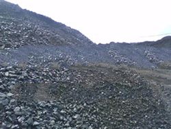 Coal Supplier From Kalimantan Area, 