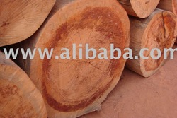Hardwood Logs