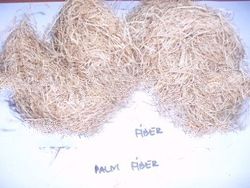 Palm Fiber