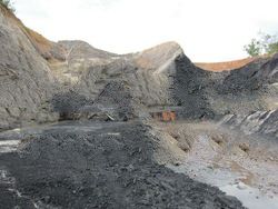 COAL /steam coal