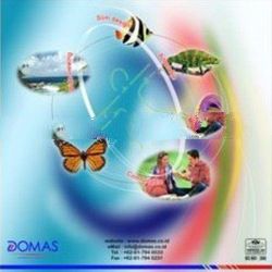 Progressive Optical CR 39 Lens